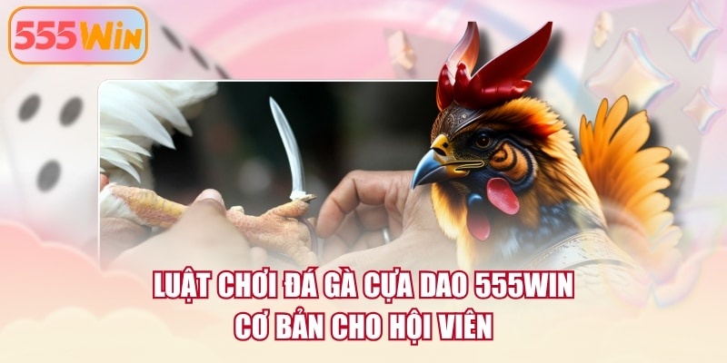 Luật chơi đá gà cựa dao 555WIN cơ bản cho hội viên